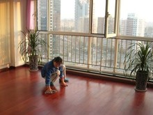 大連家政服務(wù)指南 精選公司電話與專業(yè)服務(wù)解析